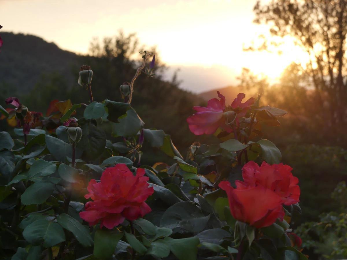 Source Nature Mas-d'Azil Εξωτερικό φωτογραφία