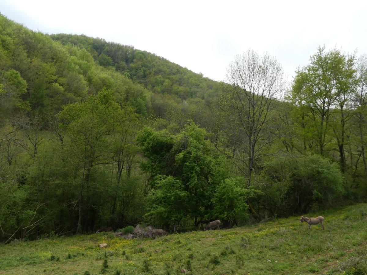 Source Nature Mas-d'Azil Εξωτερικό φωτογραφία