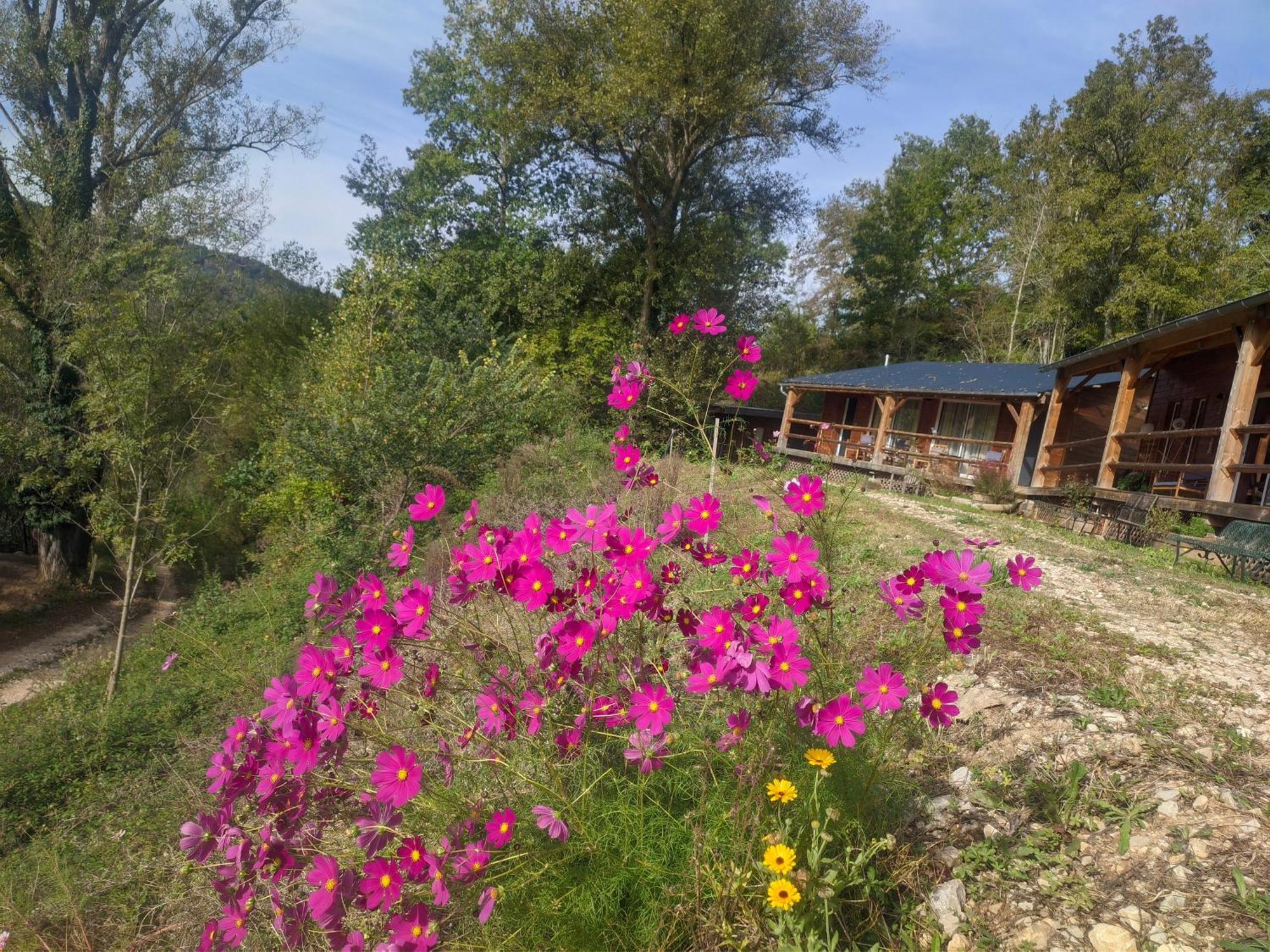 Source Nature Mas-d'Azil Δωμάτιο φωτογραφία